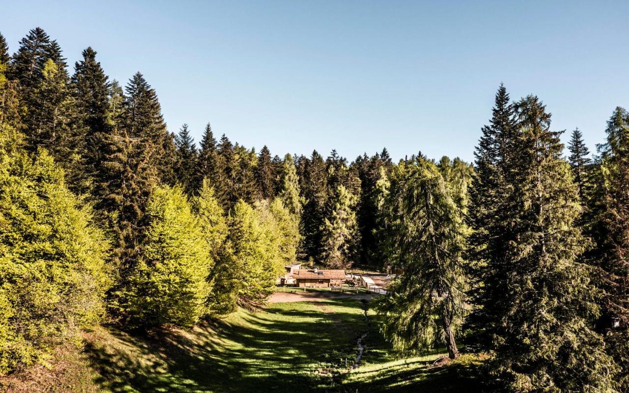 La Mendola Alm Chalet Βίλα Εξωτερικό φωτογραφία